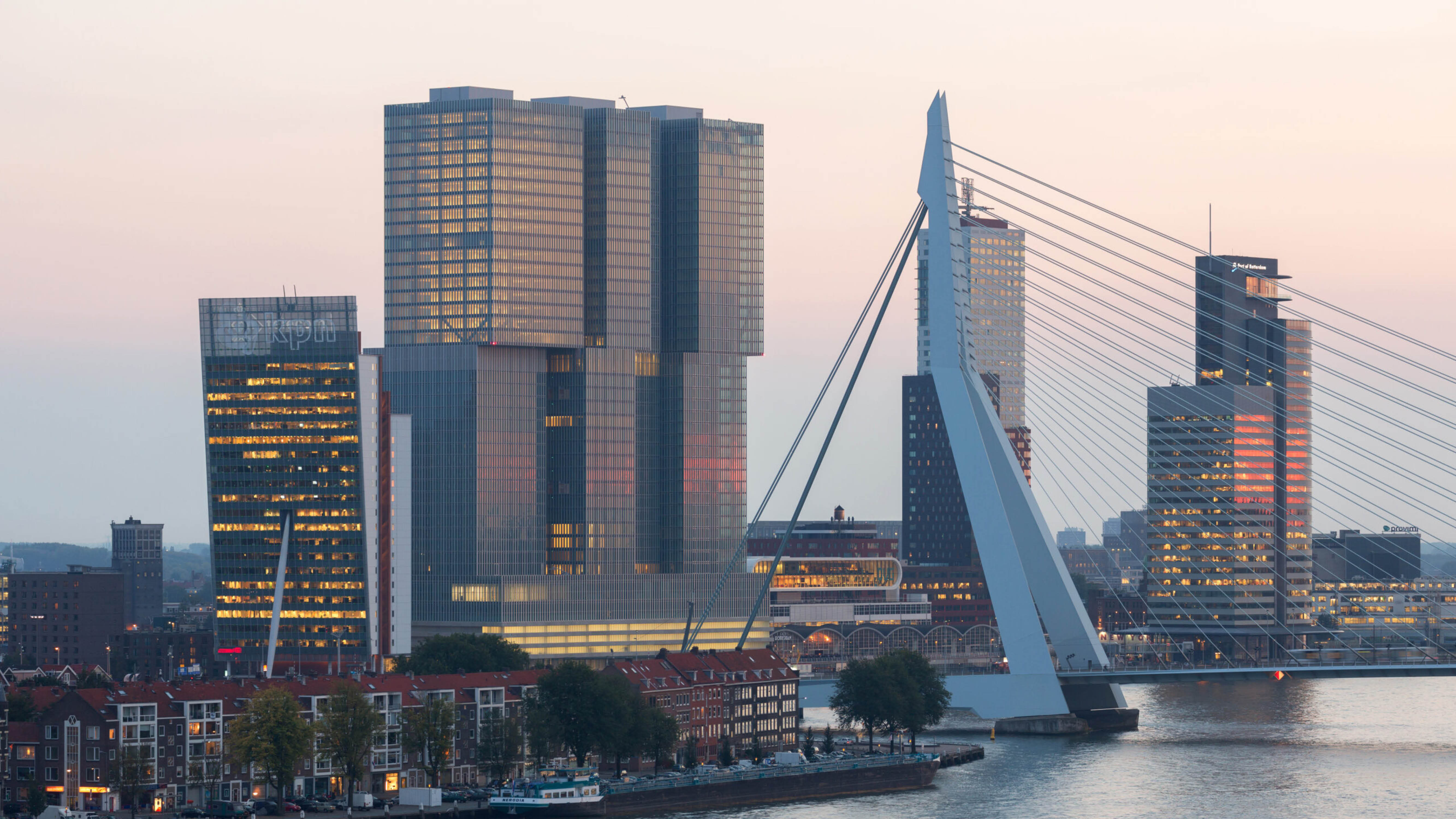2013 Erasmusbrug De Rotterdam 02 Ossip van Duivenbode Ossip van Duivenbode scaled
