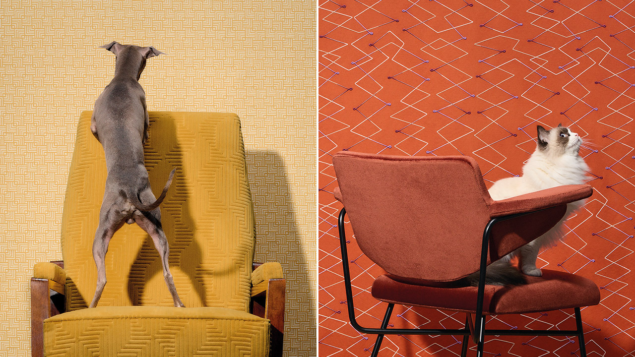24 Rubelli Teorema collection by Formafantasma ZIGZAG MARTORA photocredit Claudia Zalla Rahmen