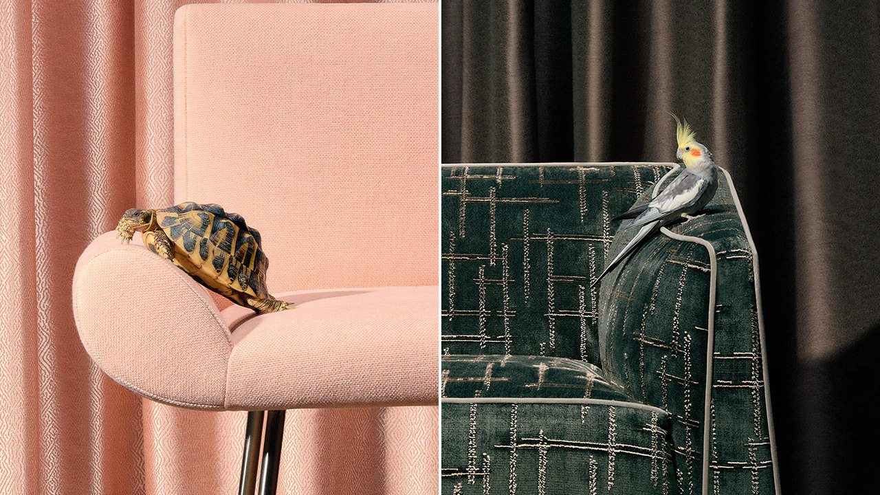 26 Rubelli Teorema collection by Formafantasma SHARKY SCRATCH photocredit Claudia Zalla Rahmen