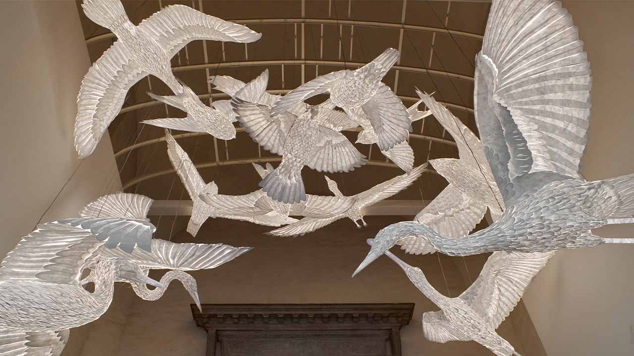 A Luminous Ark Giulio Ghirardi Michelangelo Foundation