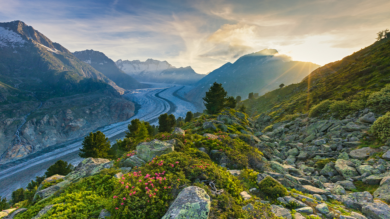 Aletschglaetscher c Schweiz Tourismus 3