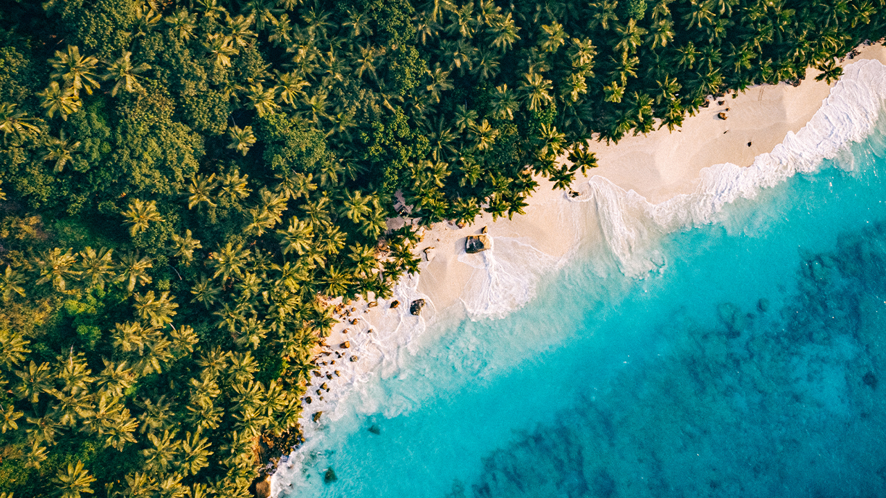 Anse Victorin 009
