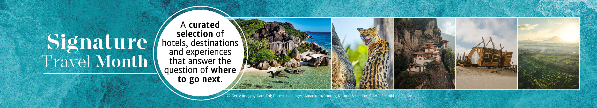 Signature Travel Month August