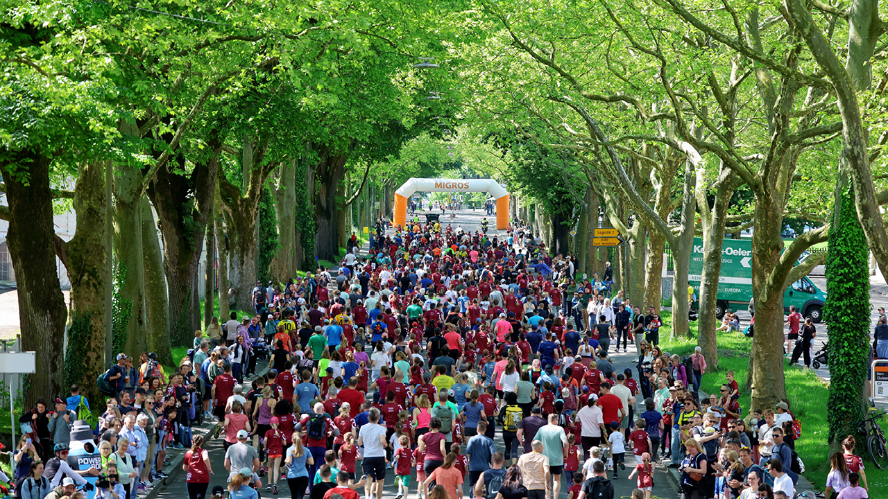 Hunderte Läufer laufen entlang einer Allee ins Ziel des Grand Prix von Bern