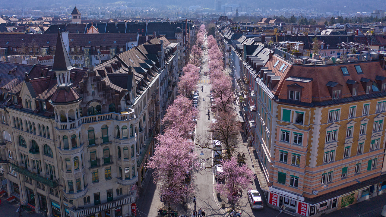 Bertastrasse Cr Cemil Erkoc Zuerich Tourismus