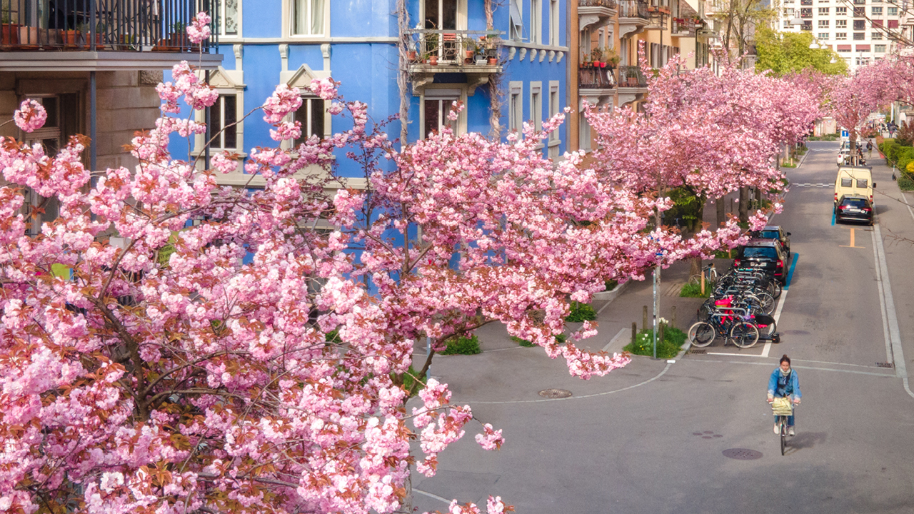 Bertastrasse Cr Maxim Moskalenko Zuerich Tourismus