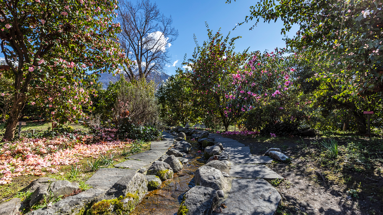 Blick auf den Parco delle Camelie