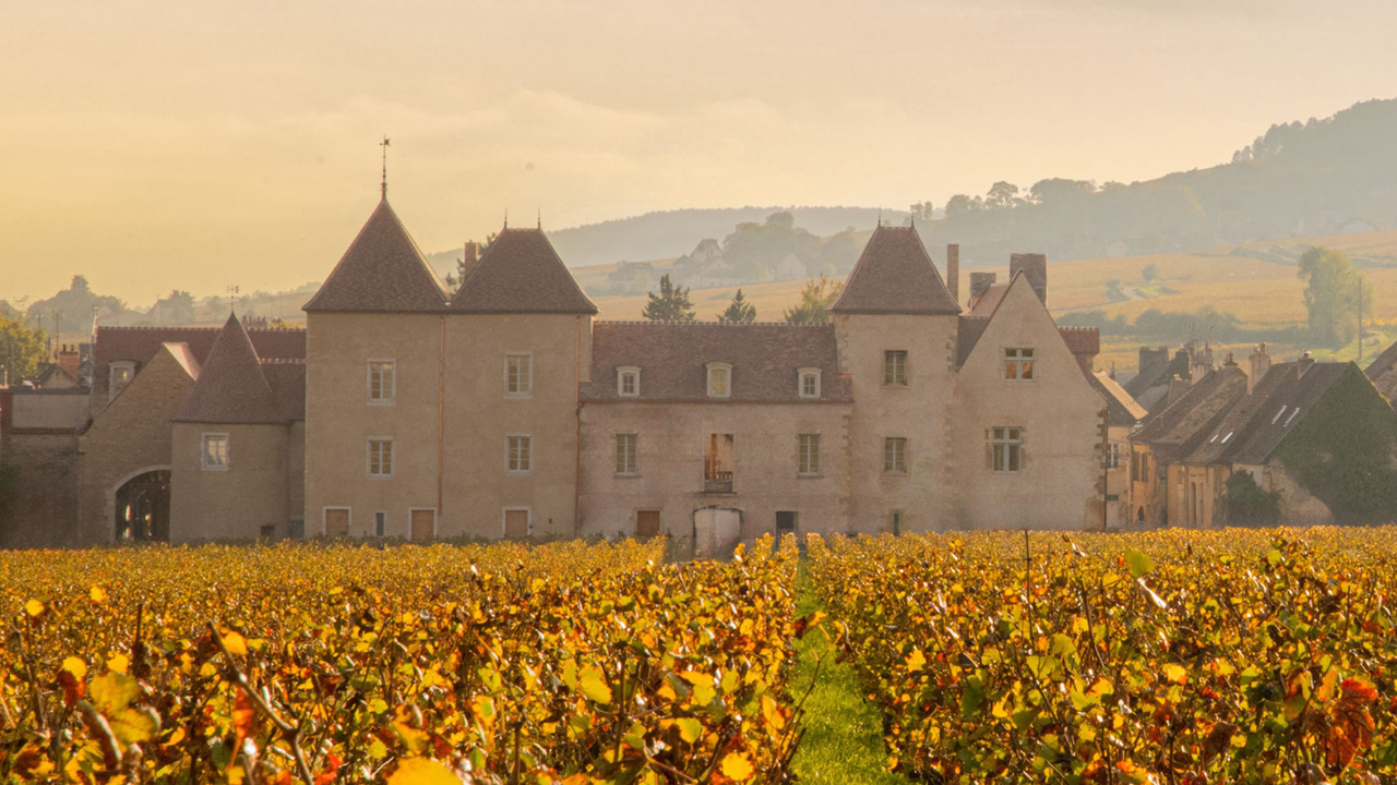 Chateau La Commaraine4