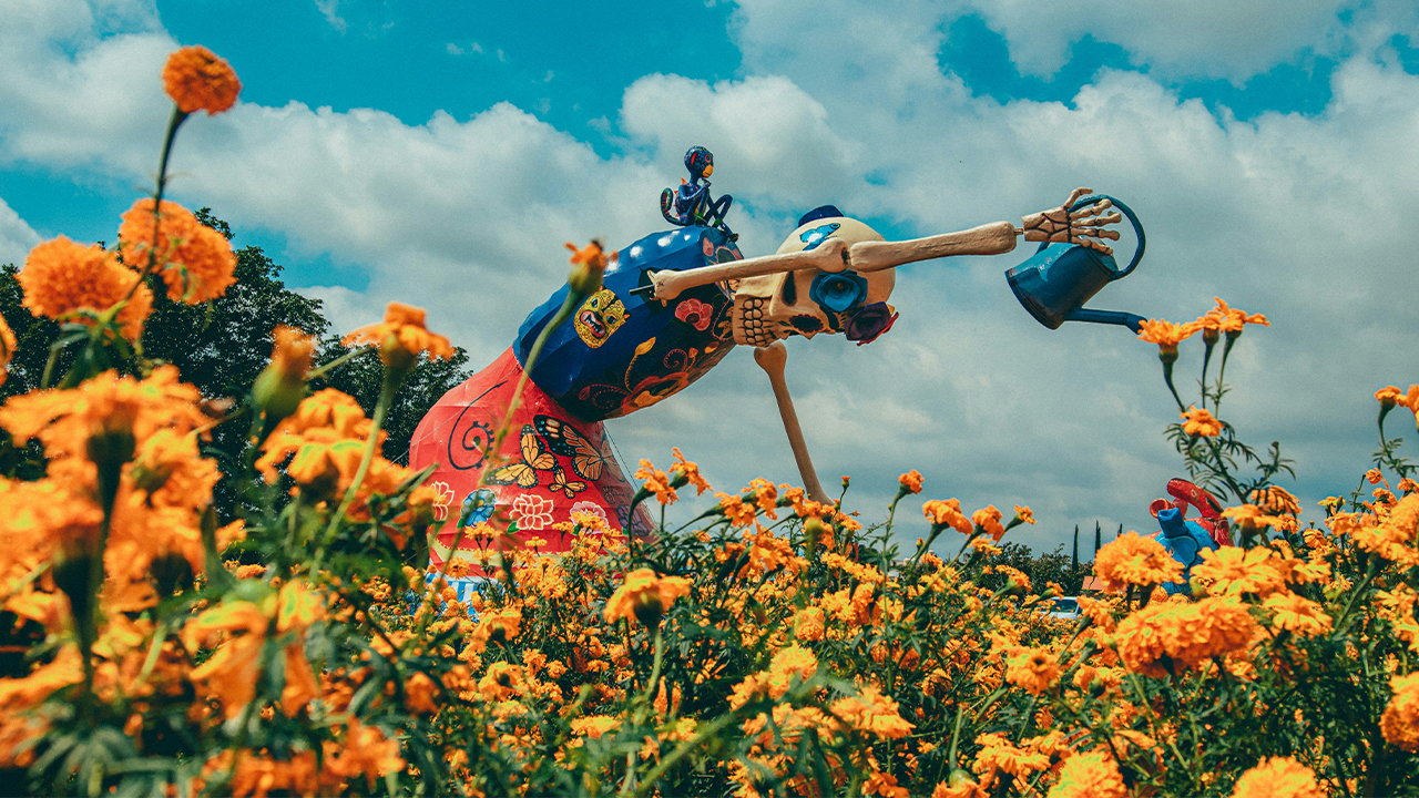 DDLM Cr Roger Ce via unsplash 2