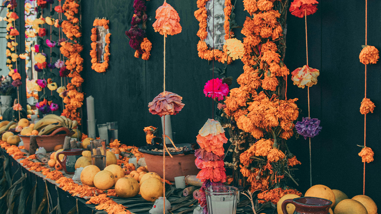 DDLM Cr Roger Ce via unsplash 5