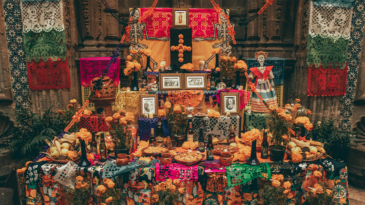 DDLM Cr Roger Ce via unsplash