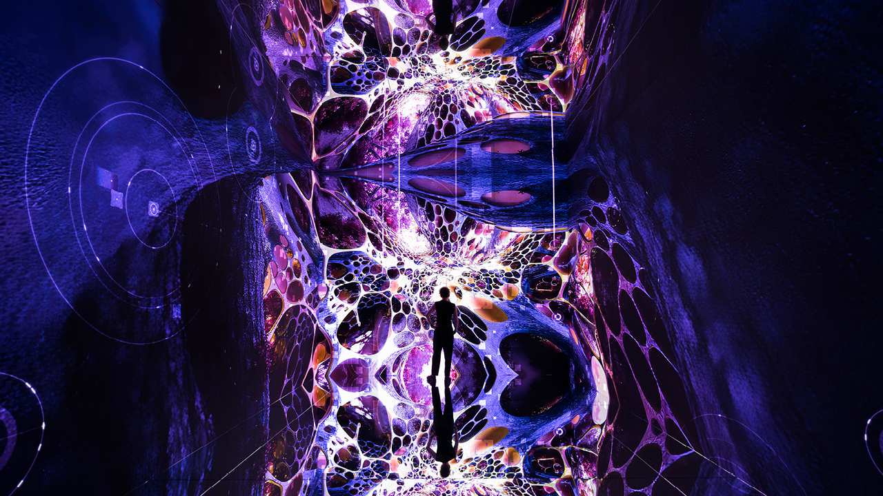 Dataland