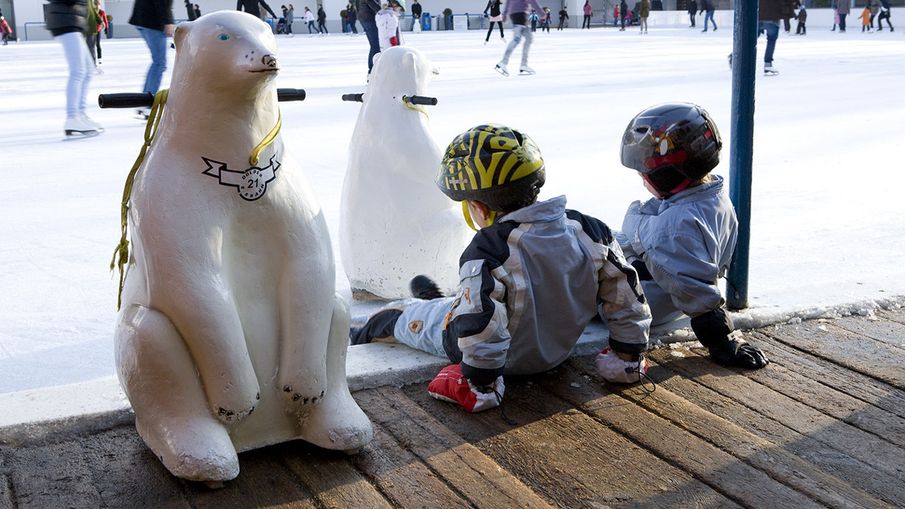 Eislaufbahnen in der Schweiz3