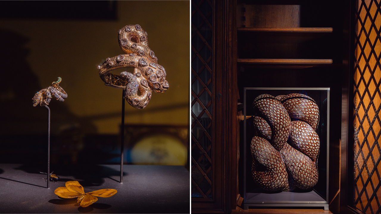 Fondazione Dries van Noten