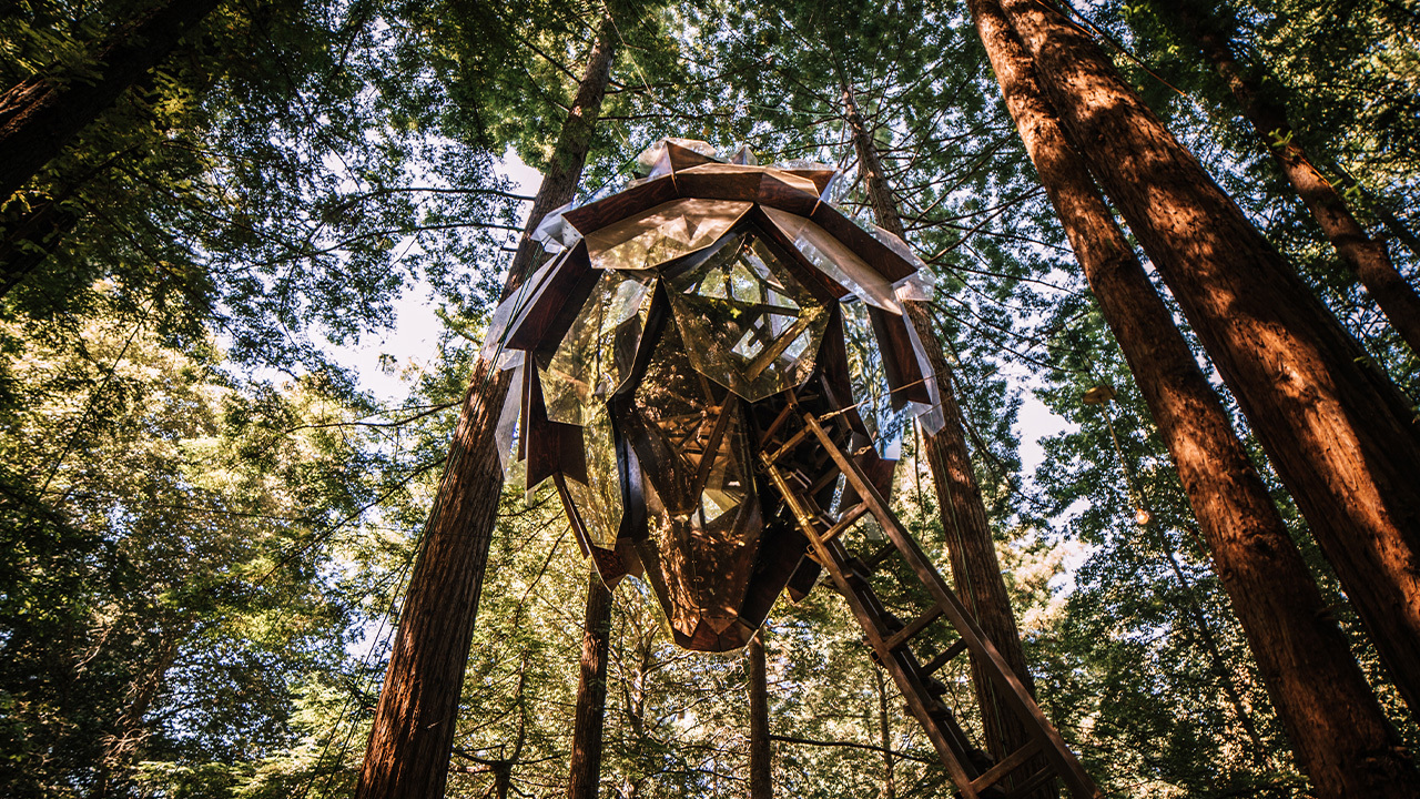 Glade Pinecone 3