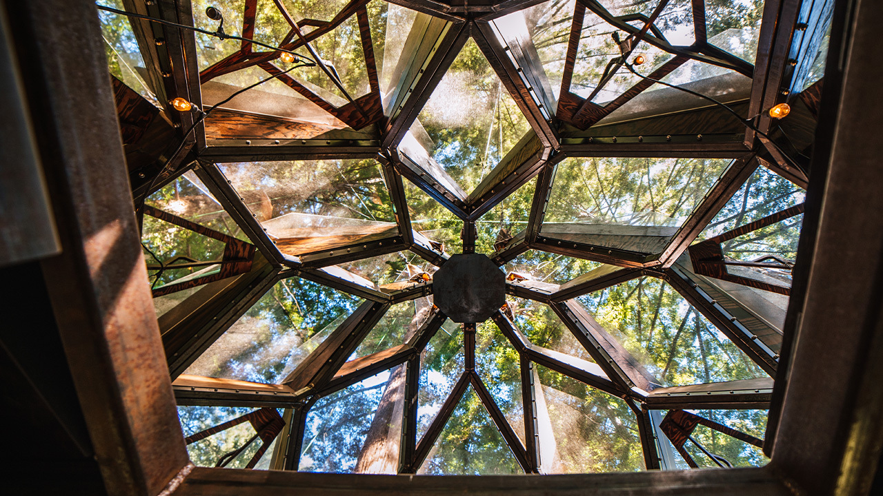 Glade Pinecone Fenster