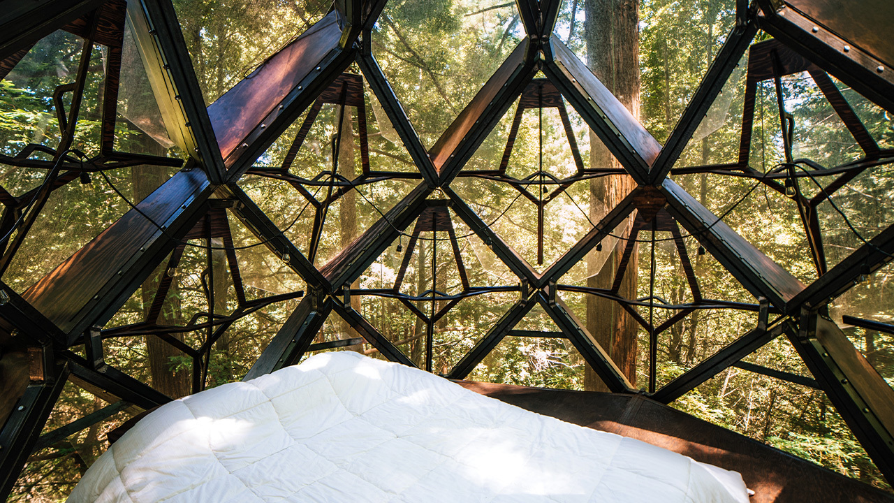 Glade Pinecone Schlafzimmer