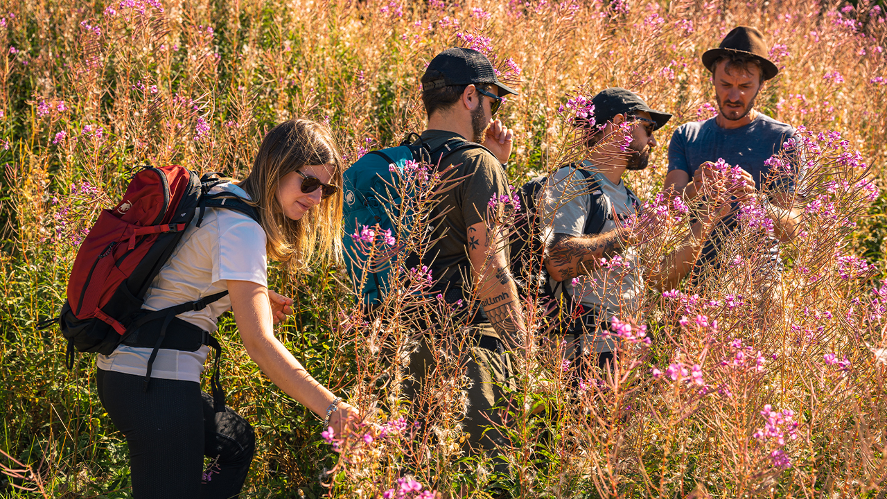 Kraeuterwanderung Cr Schweiz Tourismus