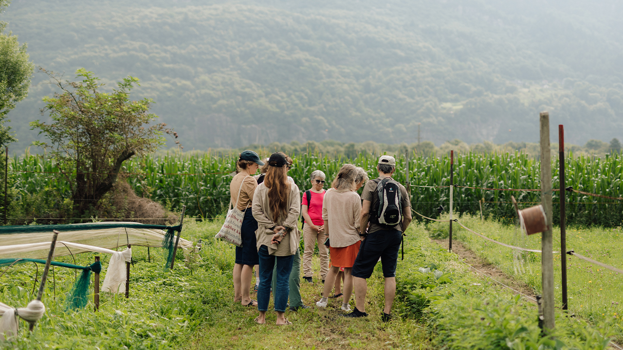 Kraeuterwanderungen Cr Meret Bissegger 2