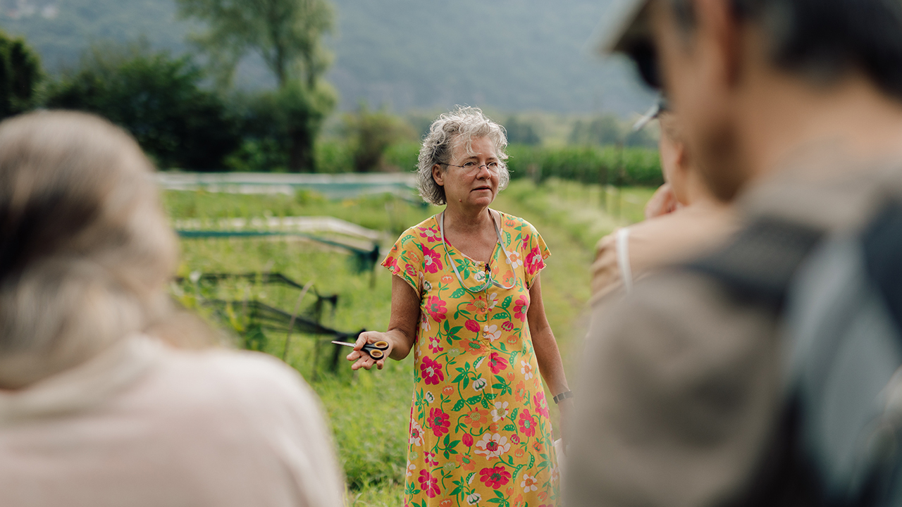 Kraeuterwanderungen Cr Meret Bissegger