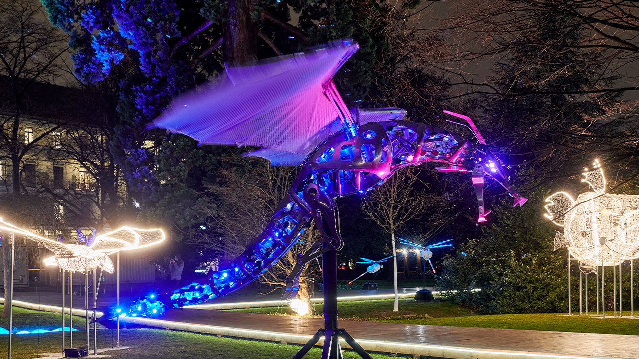 Lichtinstallationen Genf Cr Remy Gindroz 2