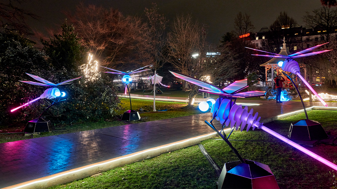 Lichtinstallationen Genf Cr Remy Gindroz 5