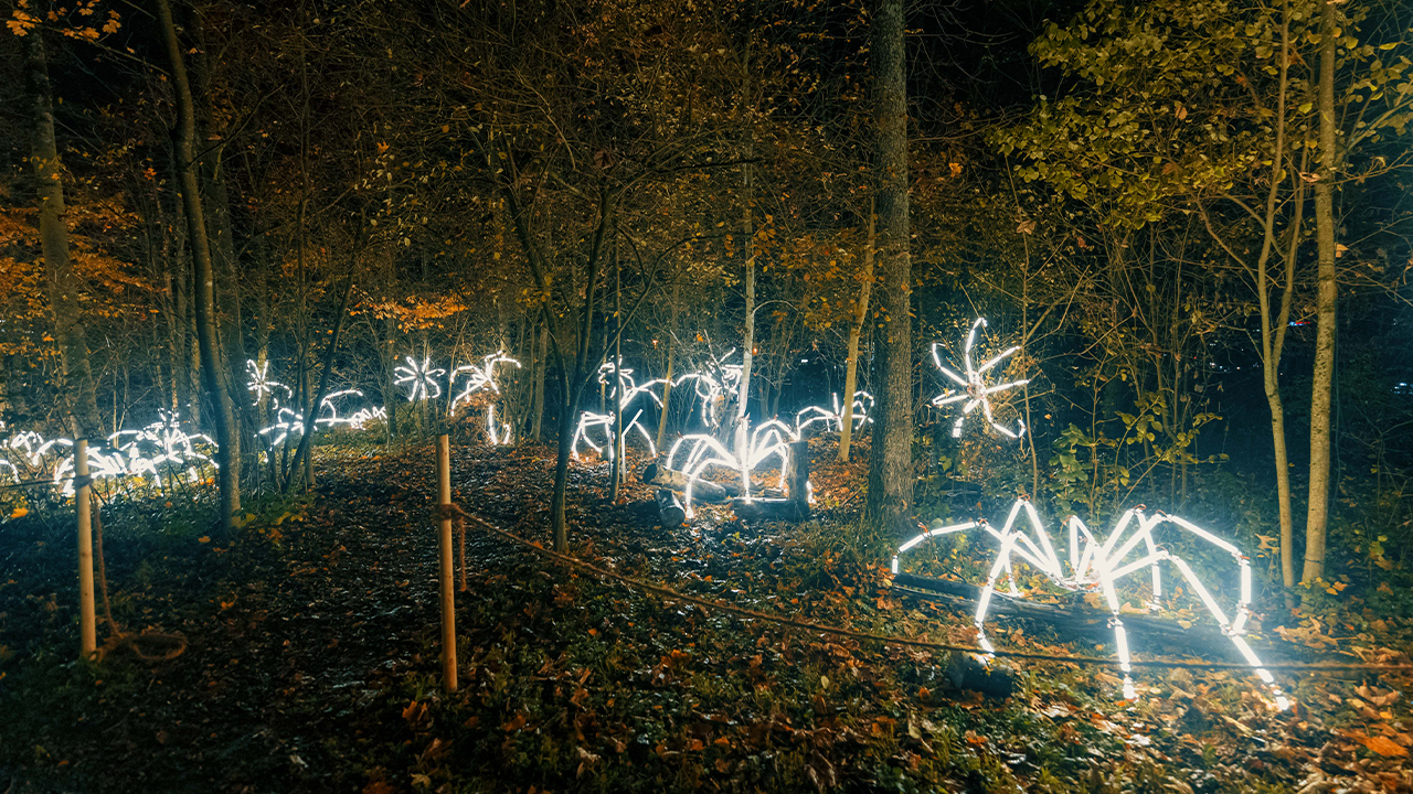 Lichtinstallationen Zauberpark Cr Flughafen Zuerich AG 4