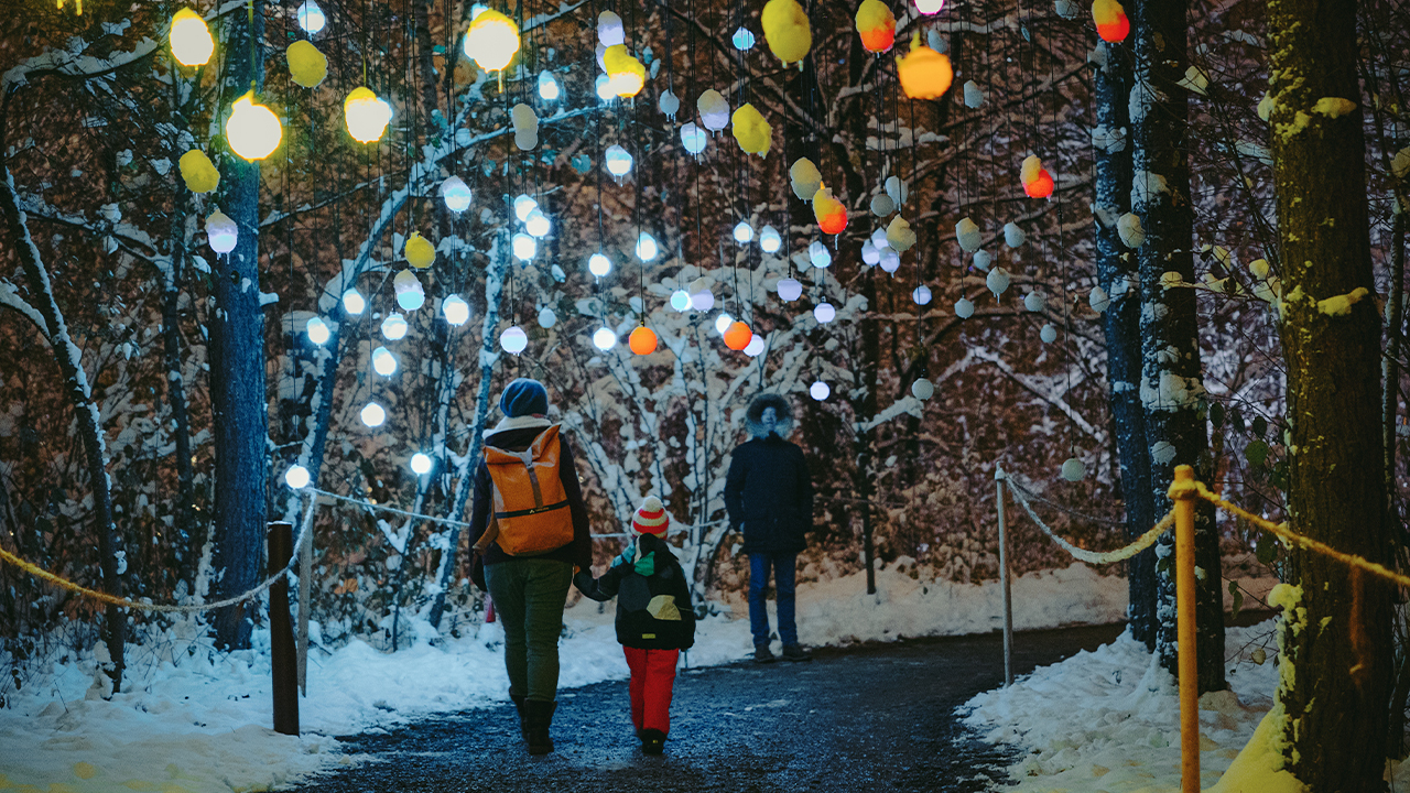 Lichtinstallationen Zauberpark Cr Flughafen Zuerich AG 5