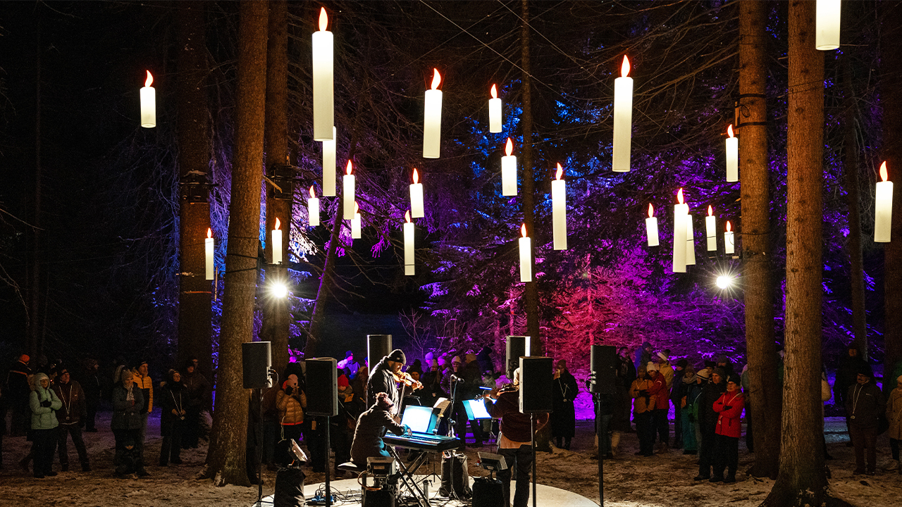 Lichtinstallationen Zauberwald Lenzerheide Cr Cemil Erkoc 4