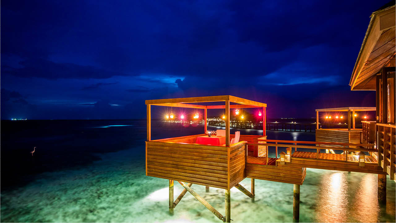 Lily Beach Dinner