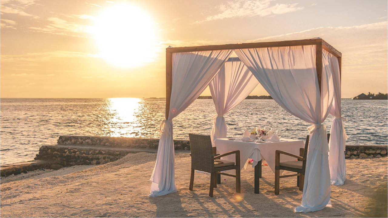 Lily Beach Sun Dinner