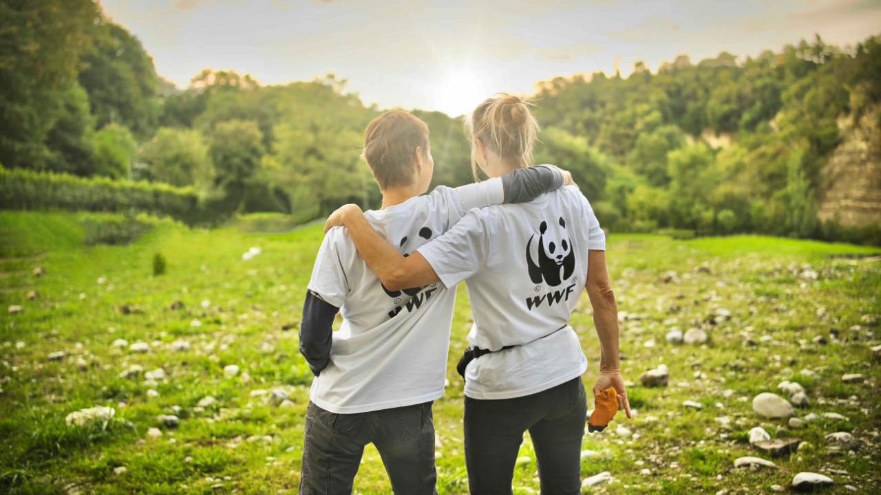 WWF Clean Up 02