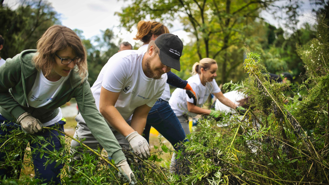 WWF Clean Up 03
