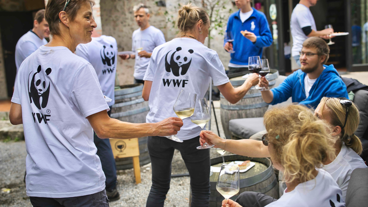WWF Clean Up 05