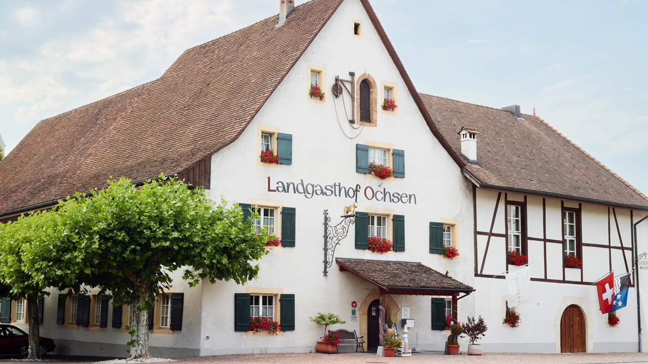 Ochsen 05