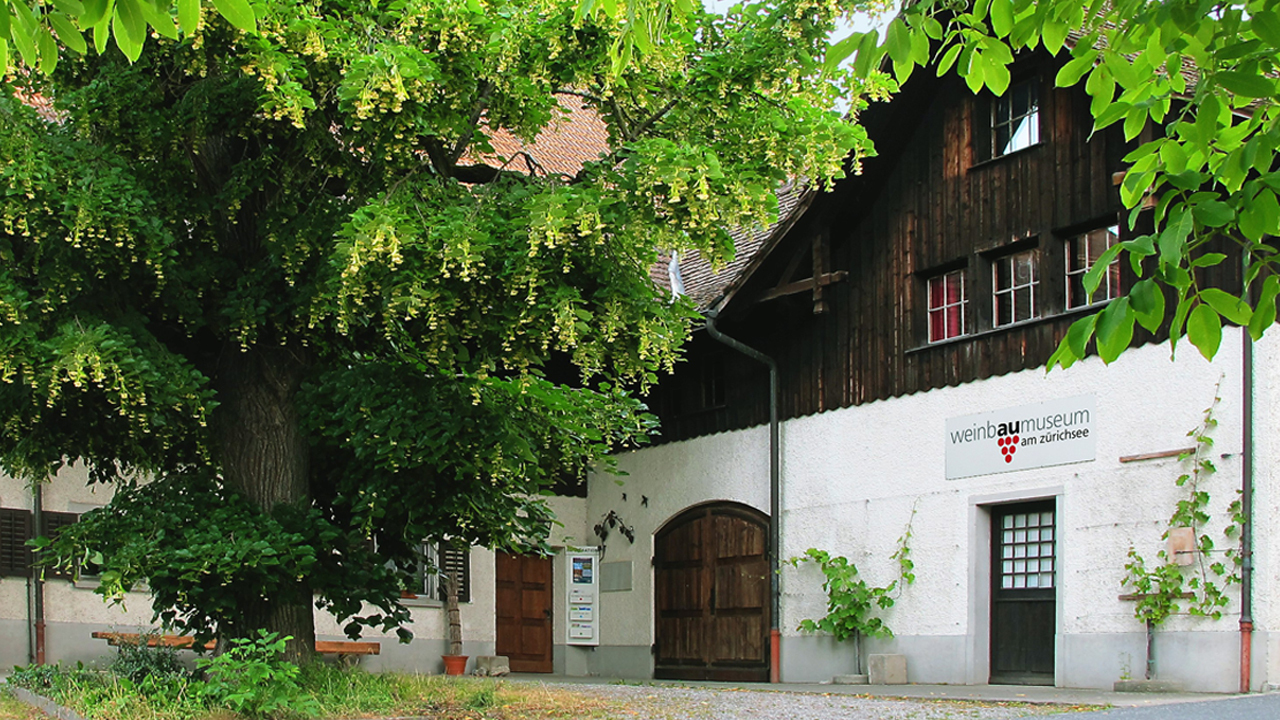 Weinbaumuseum 01