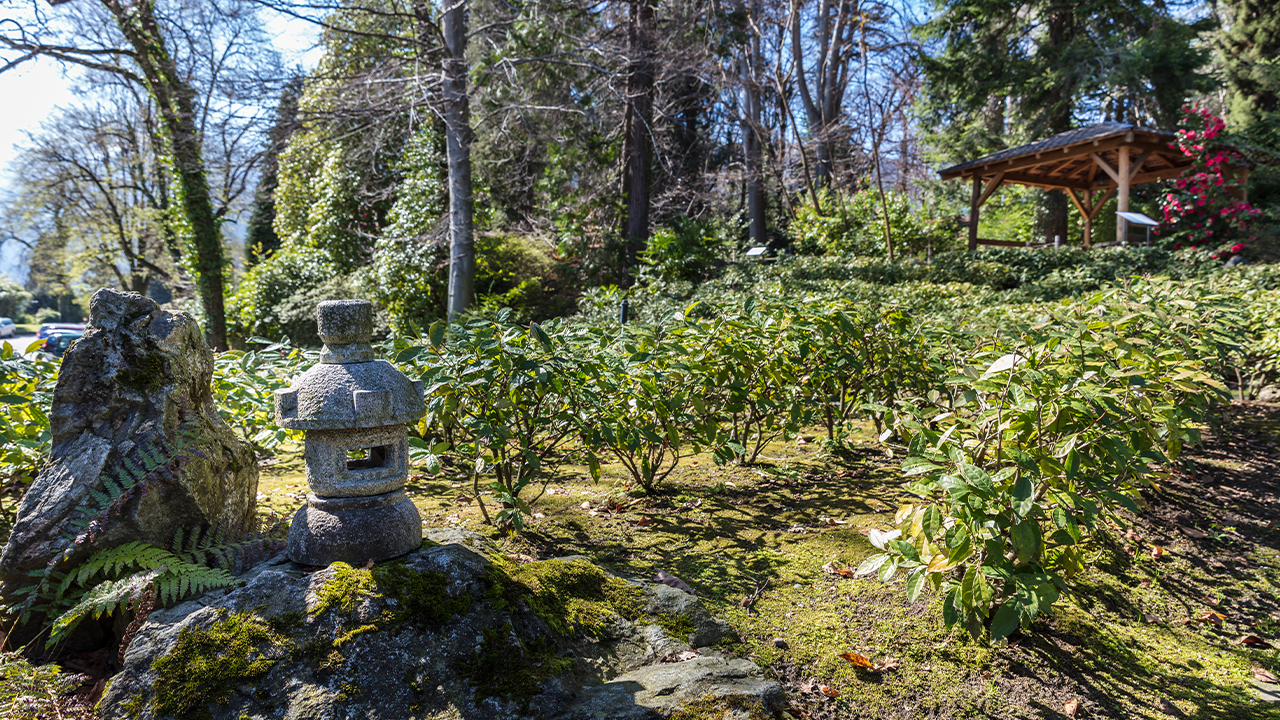 Monte Verita Cr Ascona Locarno Tourismus Alessio Pizzicannella