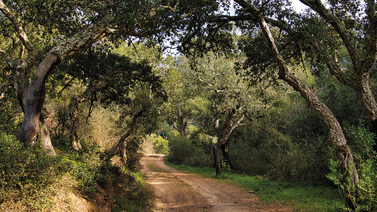 Offroad Portugal Cr Getty Images Hans Wiesmeijer