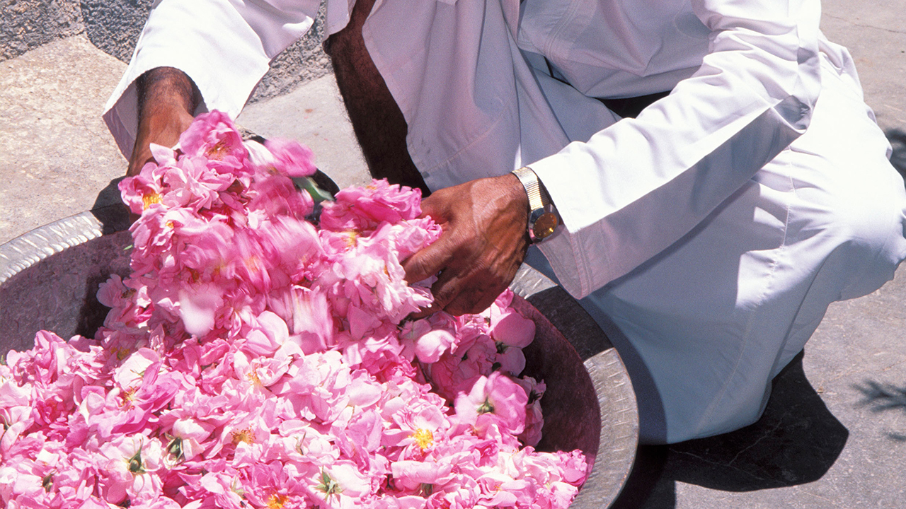 Oman 3 Omanischer Mann begutachtet Rosenblueten Cr Ministry of Heritage and Tourism Sultanate Oman 1
