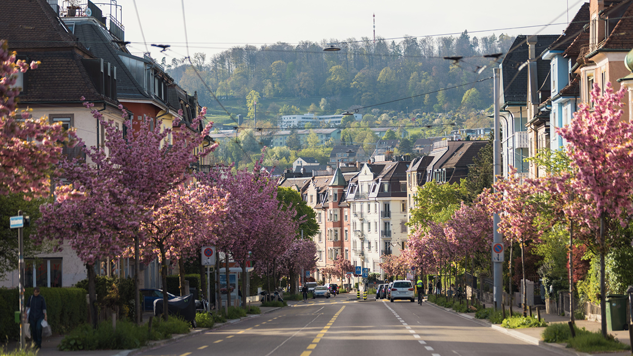 Rotbuchstrasse Cr Cemil Erkoc Zuerich Tourismus