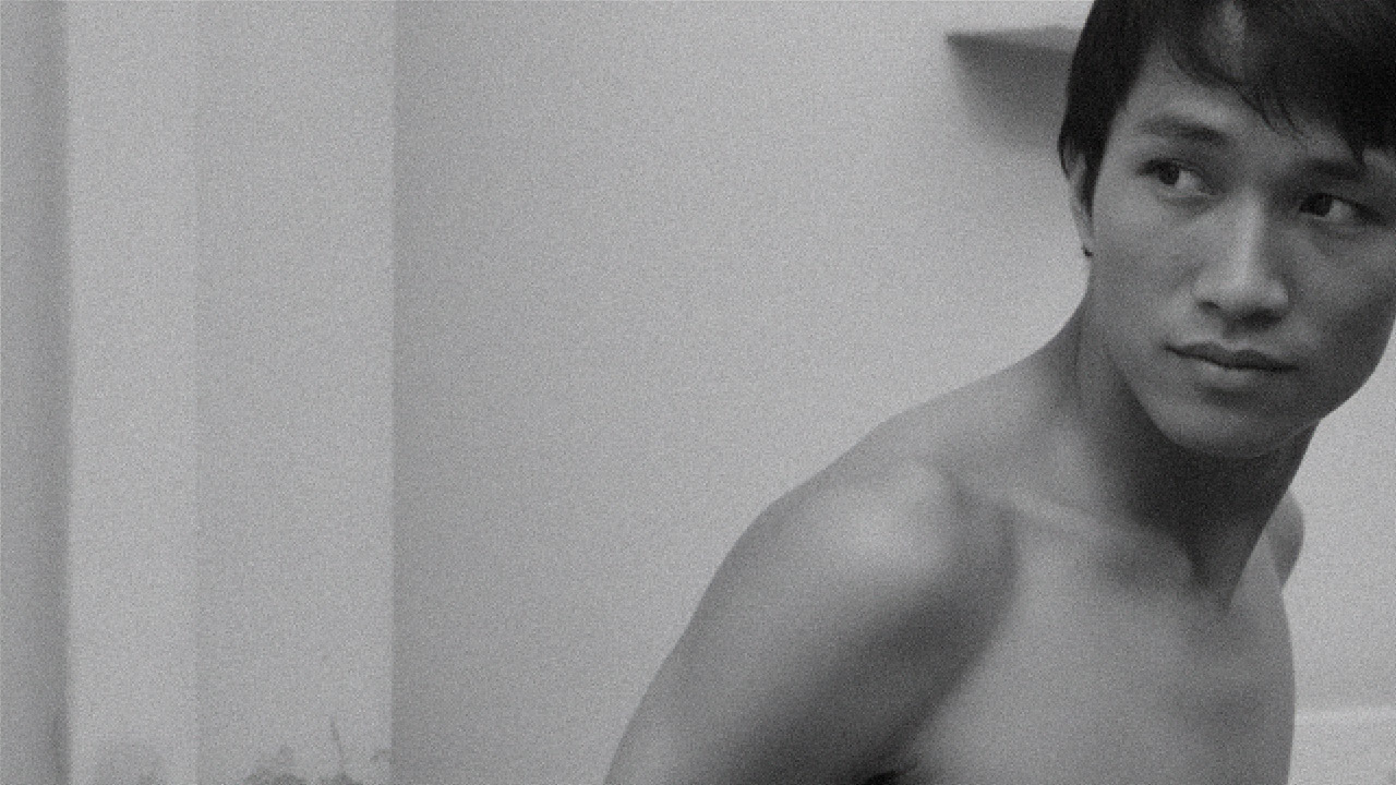 THIRD IMAGE AAG Press Still Dead Knot