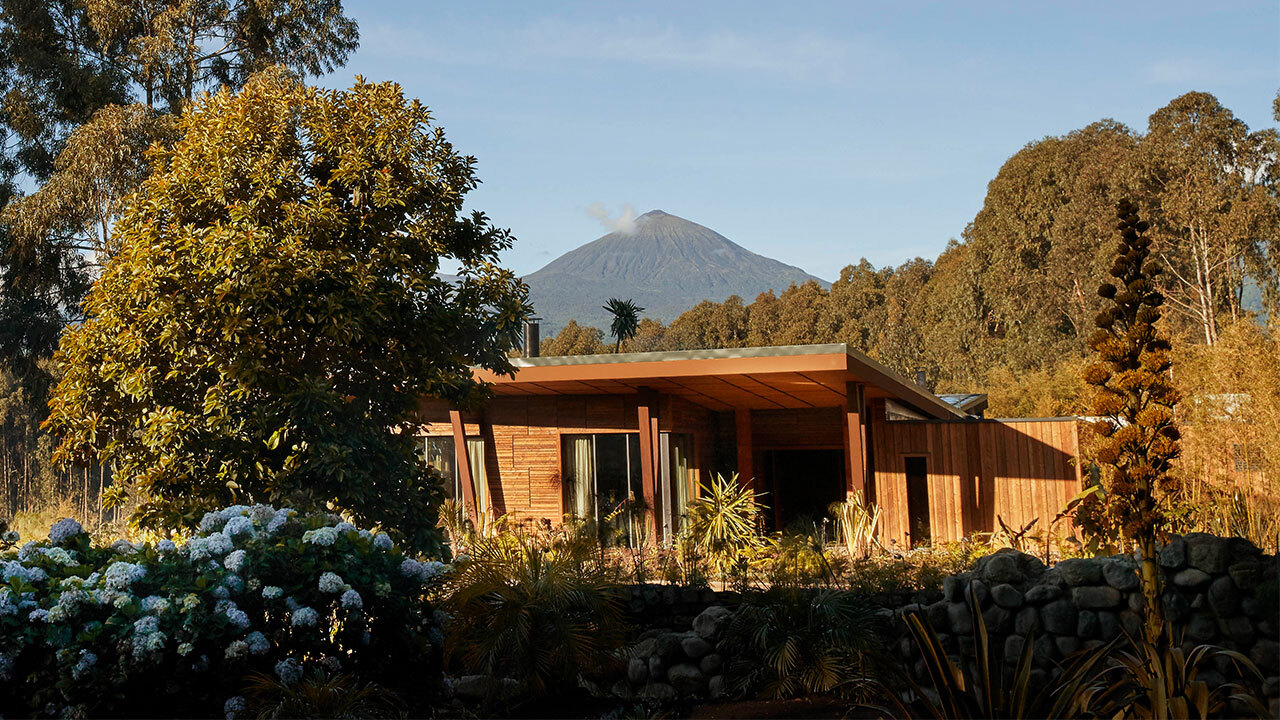 Travel News OO Gorillas Nest Exteriors Nest 17085 MASTER