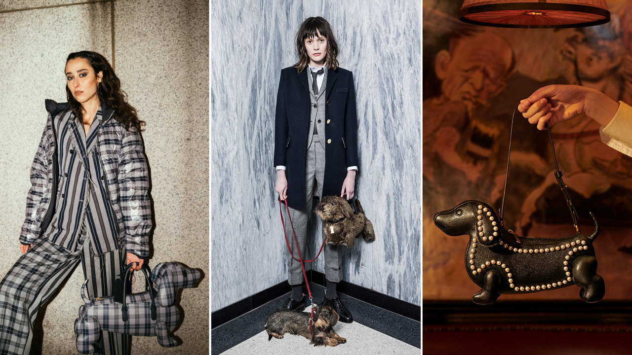 Trend Dackel Thom Browne Hector