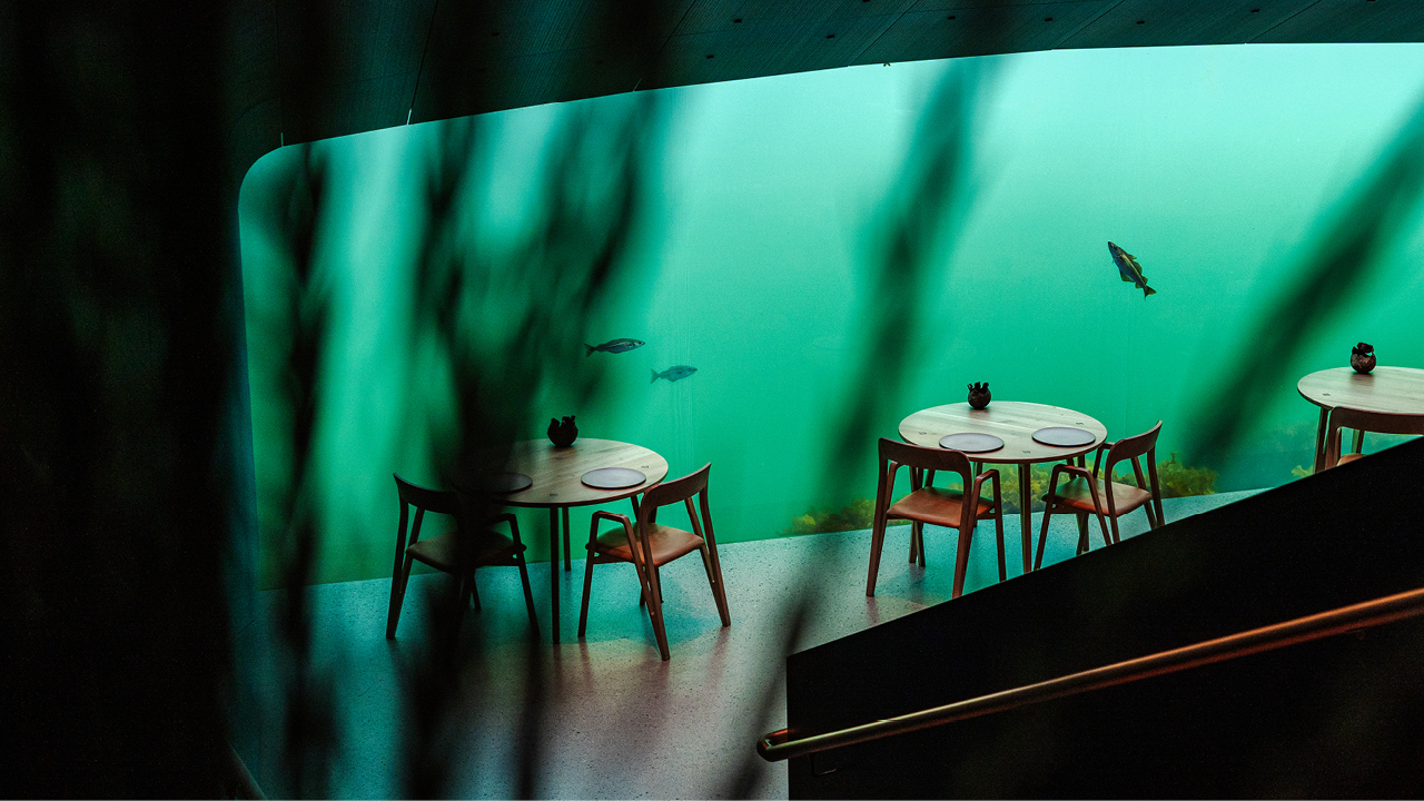 Under Restaurant4