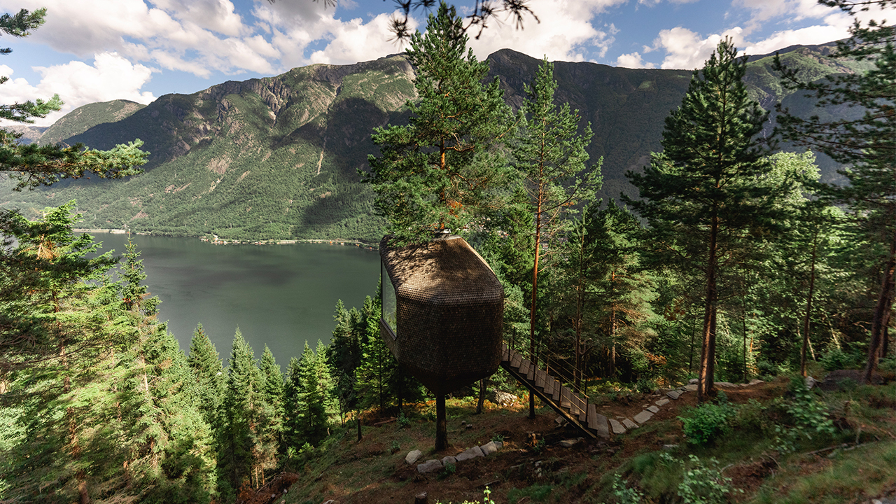 W2 Cr Woodnest Mathias Haughom