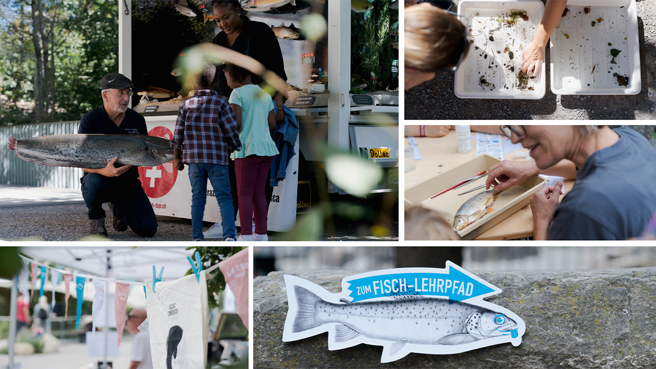 WWF Lachsprojekt Event 1