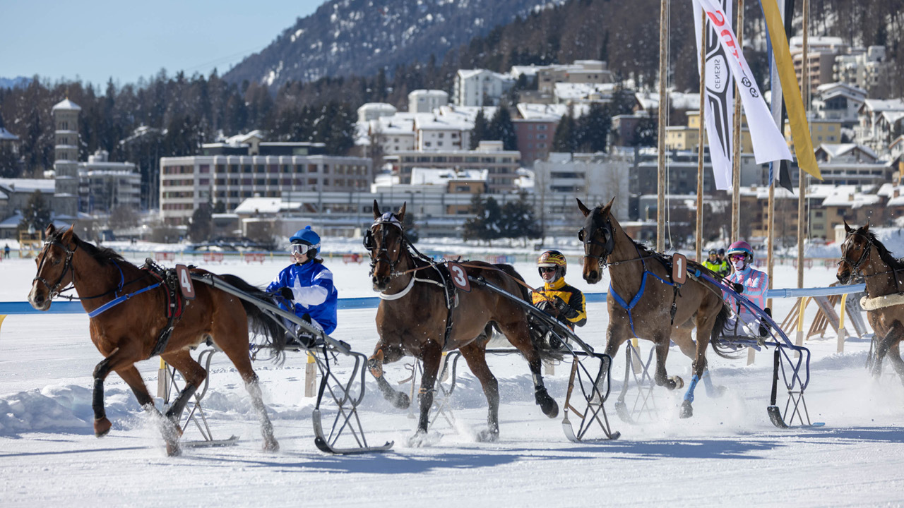 White Turf Cr A Furger