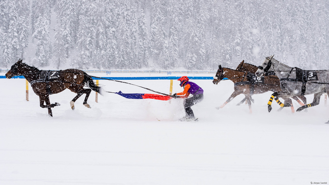 White Turf Cr J Sendel3