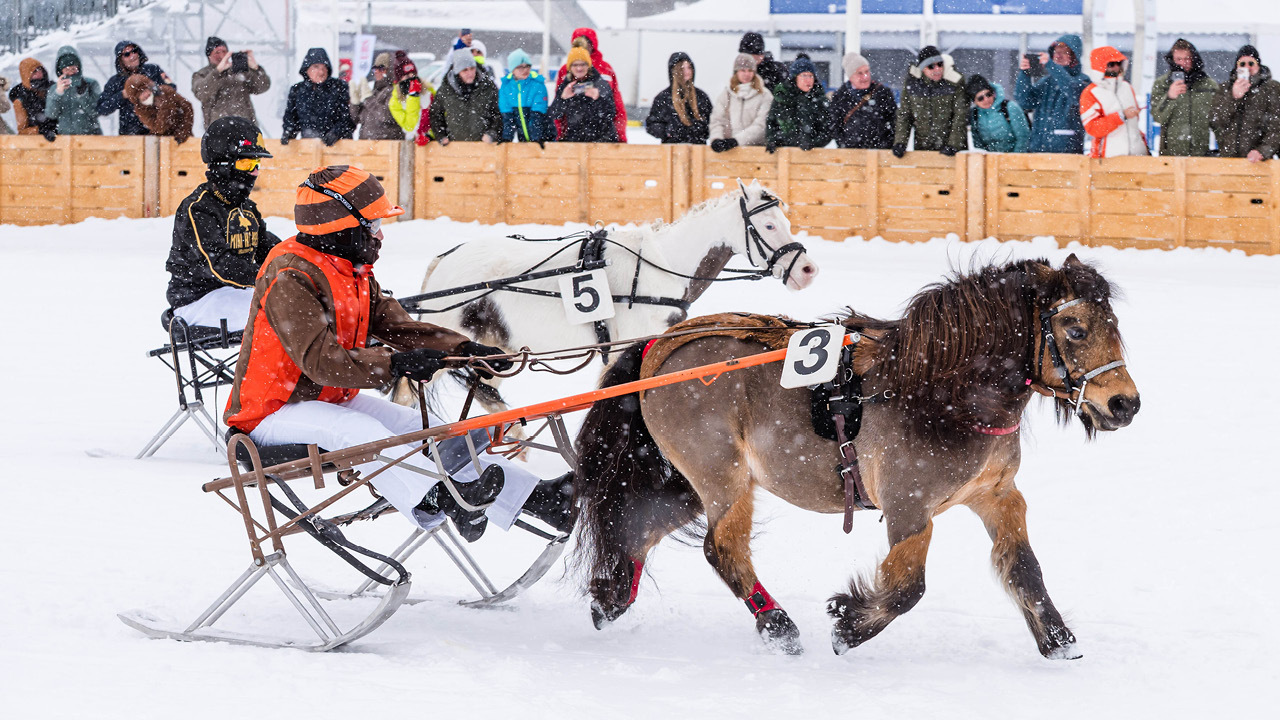 White Turf Family Day 2 Cr J Sendel