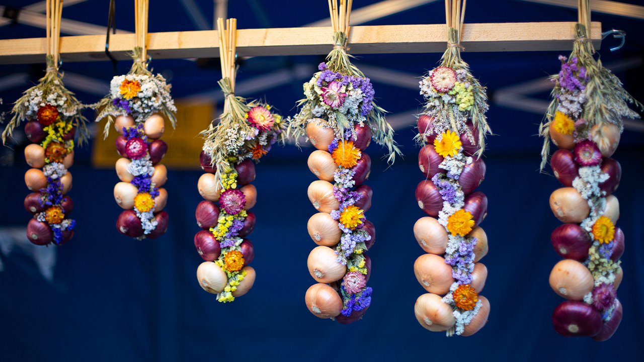 Zwiebelfest Cr Bern Welcome 5